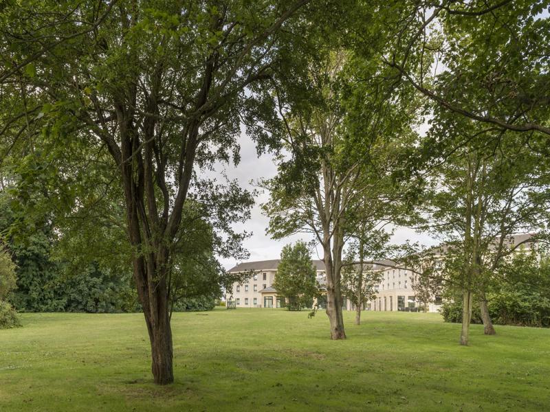 Hotel Calais By Ihg 4*